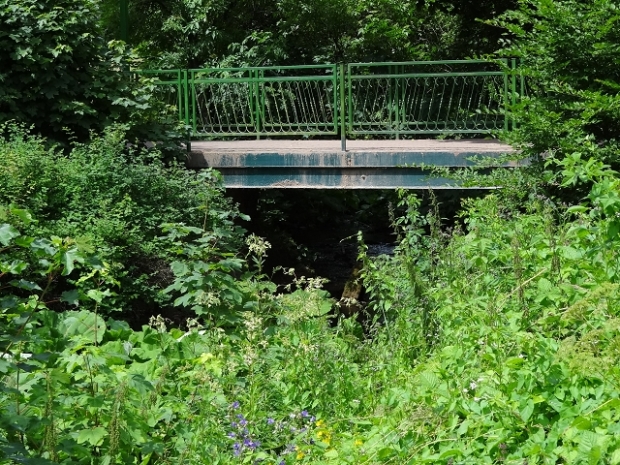 Grundstückszufahrtbrücke NW / Lude