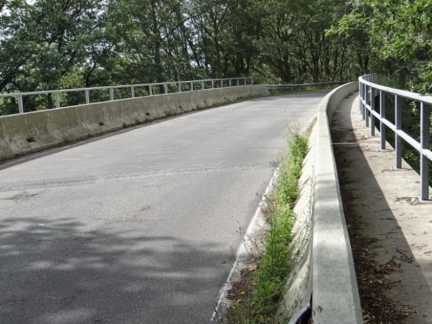 Straßenbrücke am Friedrichsmoorer Karpfenteich / Lewitz - Elde