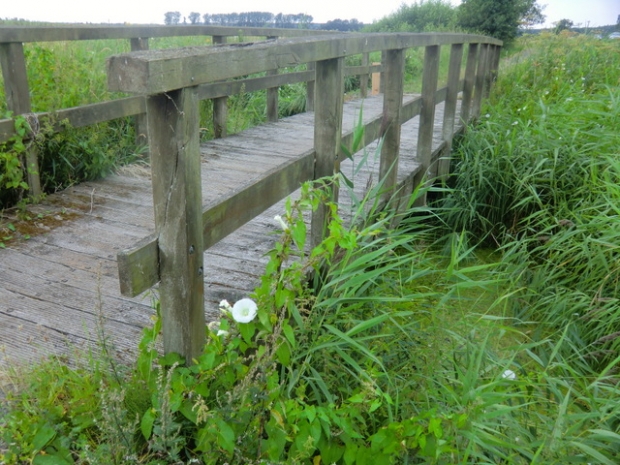 Radwegbrücke / Melorationsgraben