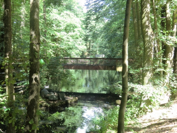 Fußwegbrücke / Teich im Zoo