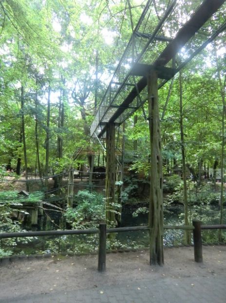 Affenwegbrücke / Parkweg