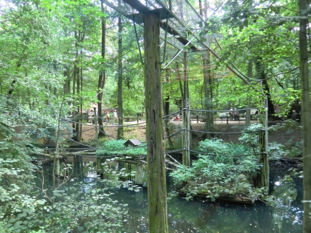 Affenwegbrücke / Parkweg