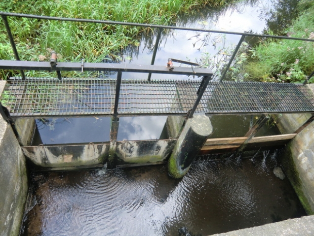 Arbeitswegbrücke am Wehr / Mysla