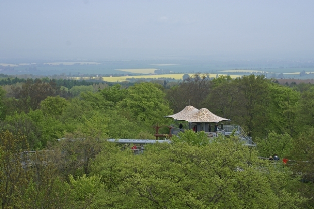 Baumkronenpfadwegbrücke im Hainisch