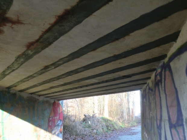 EÜ Strecke Berlin - Schönebeck Schorfheide / Waldweg