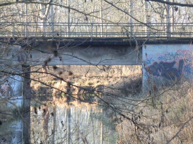 EÜ Strecke Berlin - Schönebeck Schorfheide / Karpfenteichabflußgraben