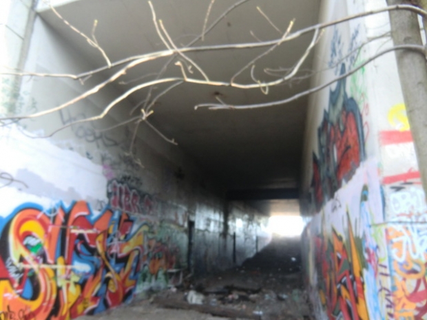 B 96a Schnellerstraßenbrücke /ehem. EU Spreehafenbahn