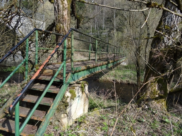 Fußwegbrücke / Warme Bode