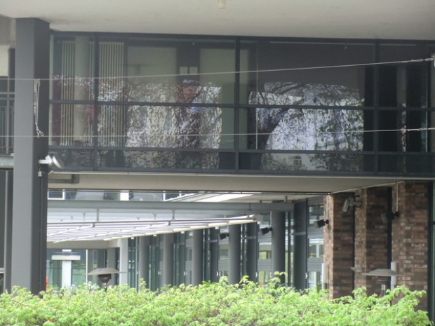 Fußwegbrücke Lift - Hotel Penta / Weg am linken Dahmeufer