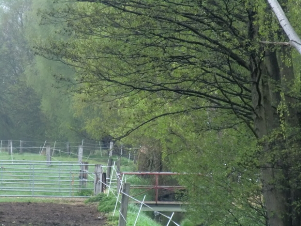 Fußwegbrücke / Glasowbach