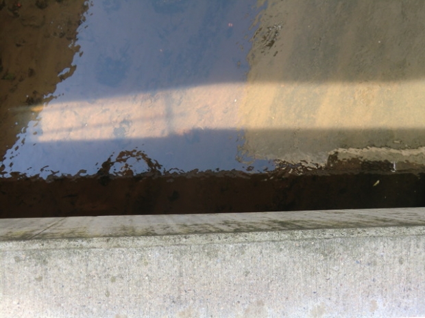 Rudolf Breitscheid Straßenbrücke / Nuthe