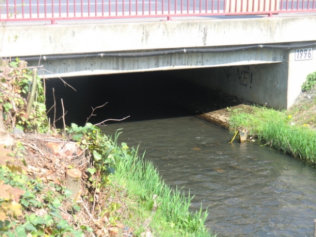 Salzufer Allee Brücke / Nuthe