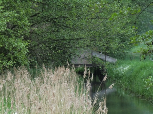 Sperrwerksbrücke / Rossel