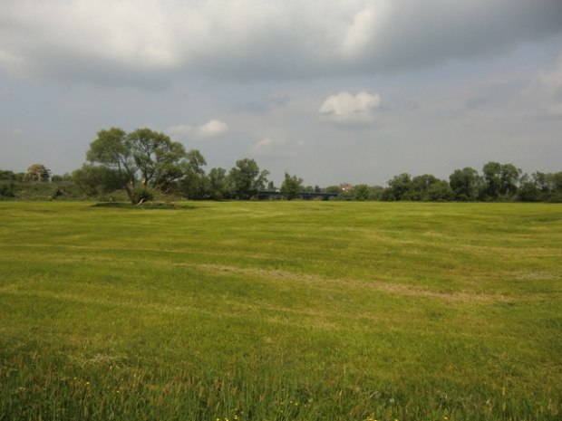 B 184 Luchstraßenbrücke / Elbe