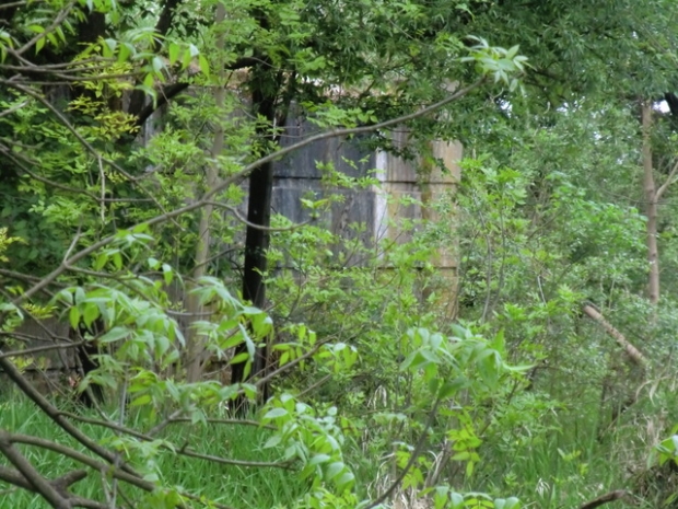 L 133 Kreisstraßenbrücke / Kapengraben
