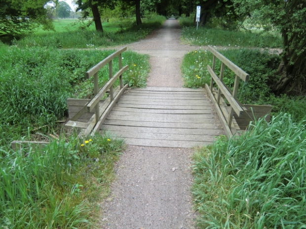 Kleine Stegbrücke / Kapenrohrlache