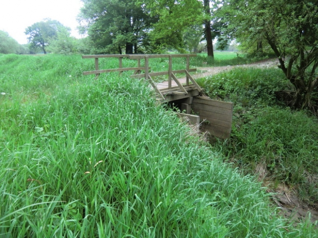 Kleine Stegbrücke / Kapenrohrlache