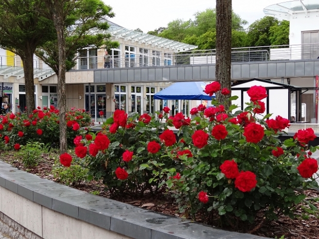 Große Gebäudeverbindungsbrücke beim Seepark
