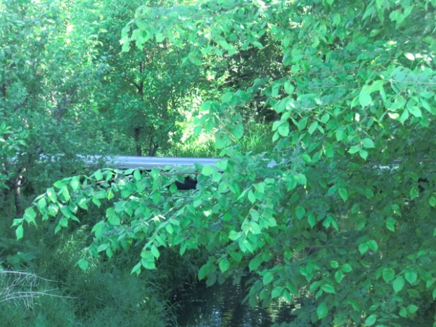 2. Fußwegbrücke zum Garten / Planenebenarm