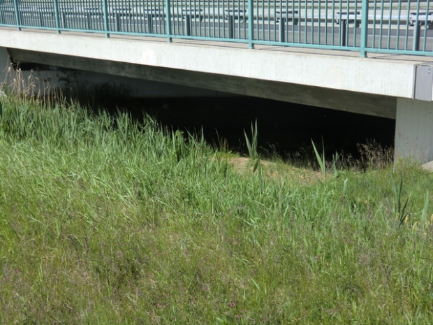 B 102 Belziger Straßenbrücke / Temlitz