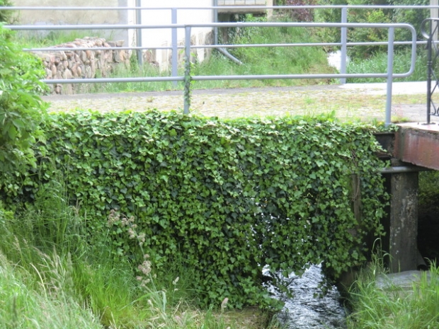 Hofzufahrtbrücke an der Niemegker Straße / Belziger Bach
