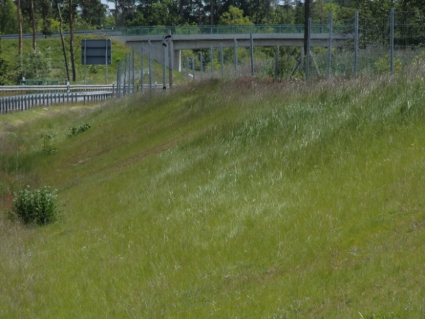 Waldstraßenbrücke / B 102 Bundesstraße