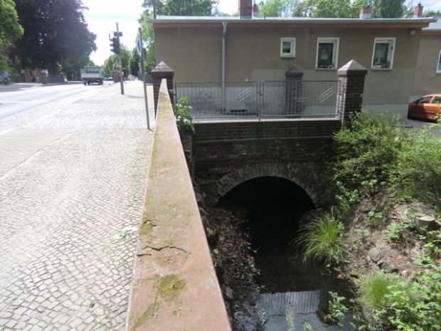 Hofzuzfahrtbrücke / Nieplitznebenarm