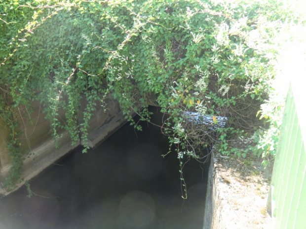 Uferpromenadenstraßenbrücke / Ucker