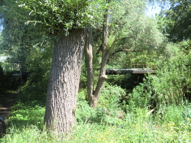 Rohrleitungsbrücke / Ucker