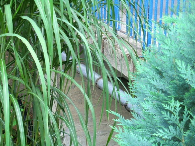 Rankenheimer Straßenbrücke / Alter Kanal