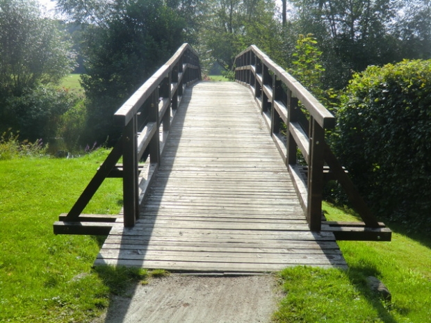 Forstwegbrücke / Ilmenau
