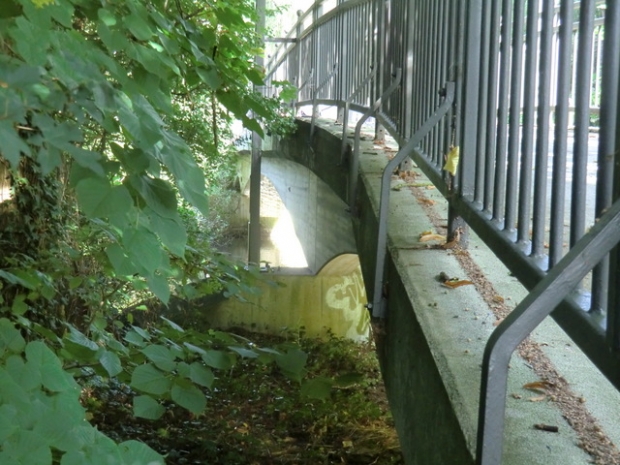 Fußwegbrücke zw. Albertstraße und Fritz Rover Straße / Ilmenau