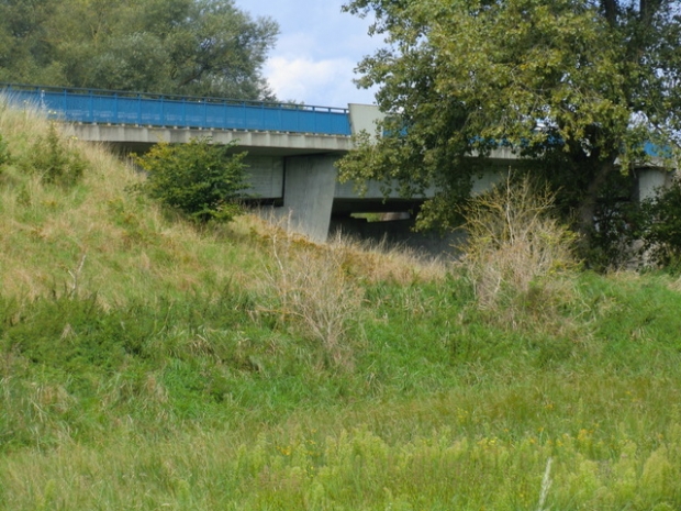 B 4 Bundesstraßenbrücke Uhlenring / Ilmenautal
