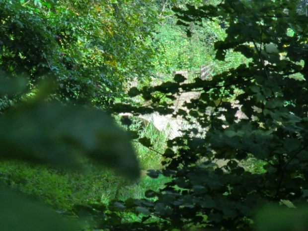 Wegbrücke Hinterfront Schloß Gusow - Platkow / Schloßgraben