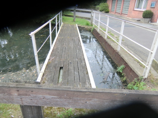 Dienstwegbrücke / Mühlenteichabfluß hin zur Ilmenau
