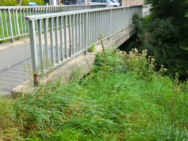 Anliegerfußwegbrücke / Bach