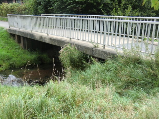 Anliegerfußwegbrücke / Bach