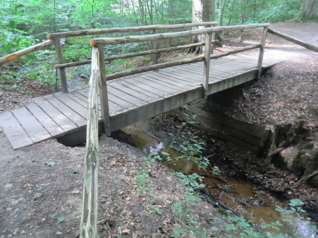 Waldwegbrücke / Fließ zur Ilmenau