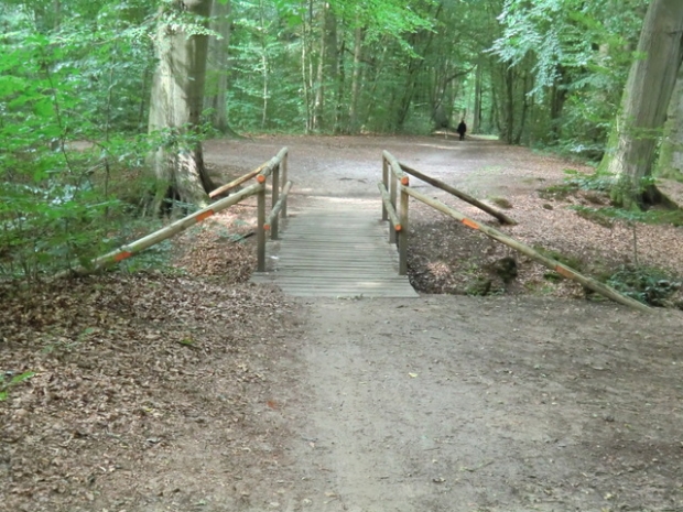 Waldwegbrücke / Fließ zur Ilmenau