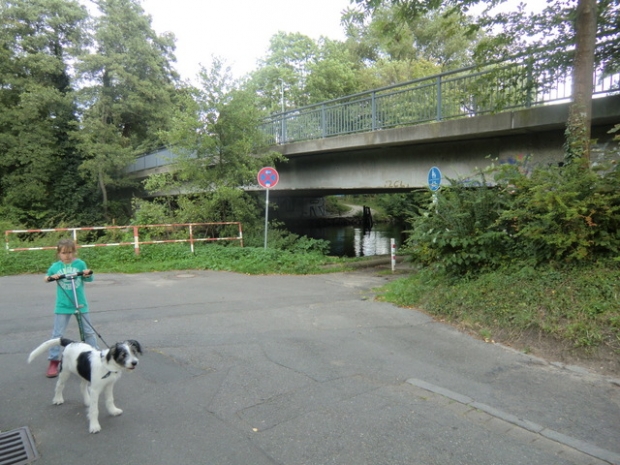 Willy Brandt Straßenbrücke ( Stadtring ) / Ilmenau und 2 Uferbegleitwege