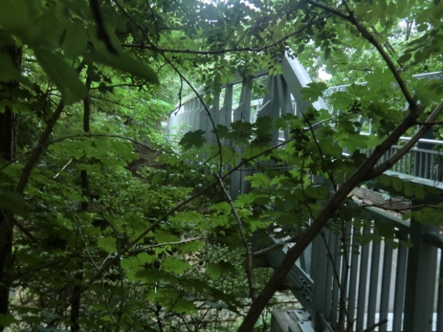 Fußwegbrücke Mustermannskamp / ehem. EU Strecke Lüneburg - Soltau