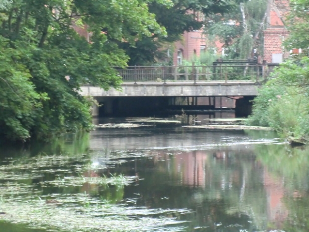 Brücke an der Ratsmühle / Ilmenau