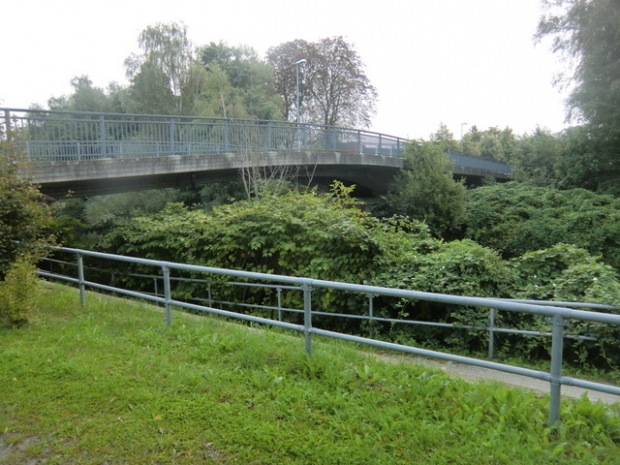 Lise Meitner Straßenbrücke / Ilmenau und 1 Uferbegleitweg