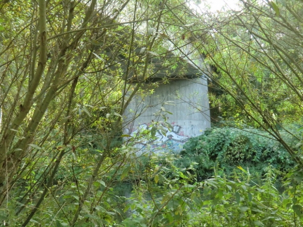 EÜ Betriebsgleis / Ilmenau mit Uferbegleitweg