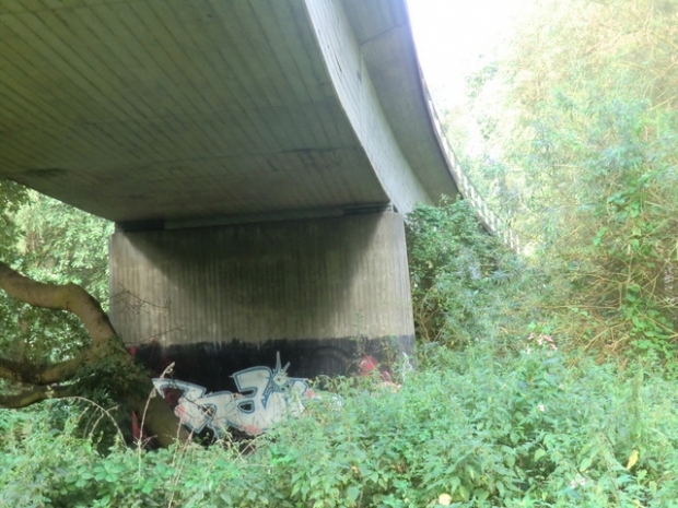 EÜ Betriebsgleis / Ilmenau mit Uferbegleitweg