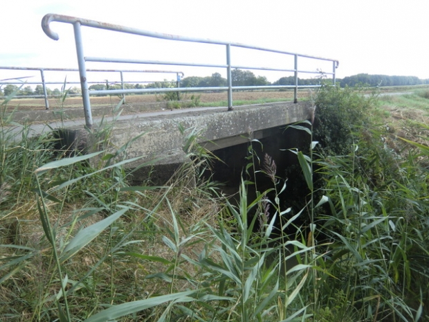 Kötnerbergstraßenbrücke / Alte Illau