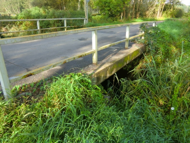 MST 10 Straßenbrücke / Ziemenbach