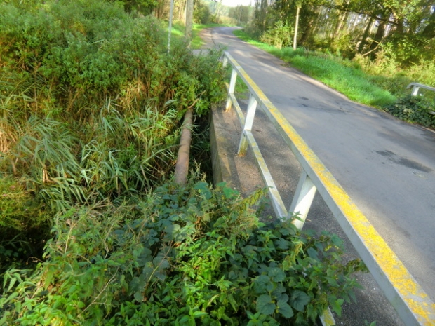 MST 10 Straßenbrücke / Ziemenbach