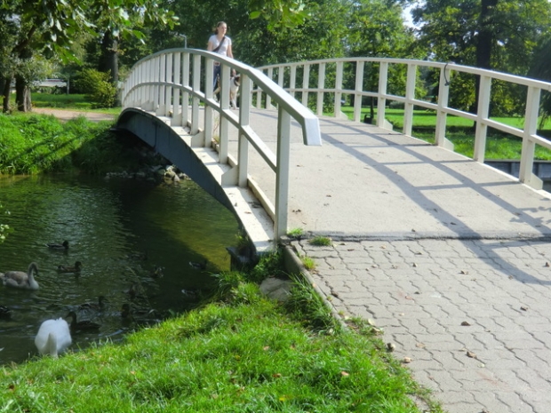 Fußwegbrücke / Ölmühlenbach, Tollense