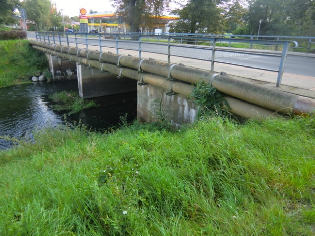 Fritz Reuter Straßenbrücke / Tollense